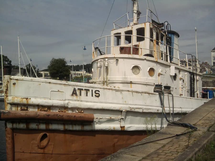 Attis