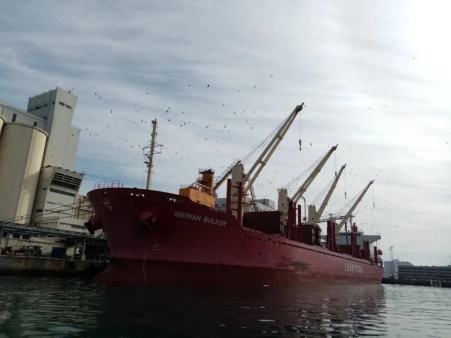 IBERIAN BULKER