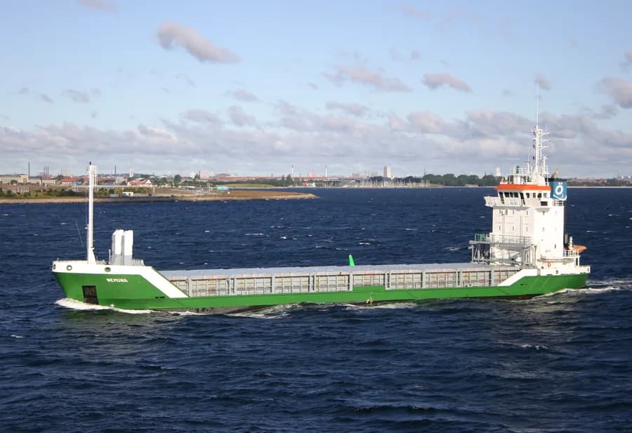 AAVA VG