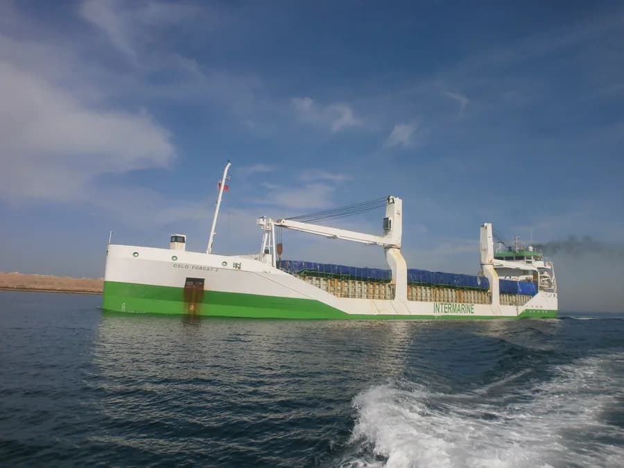 OCEAN7 MUGA