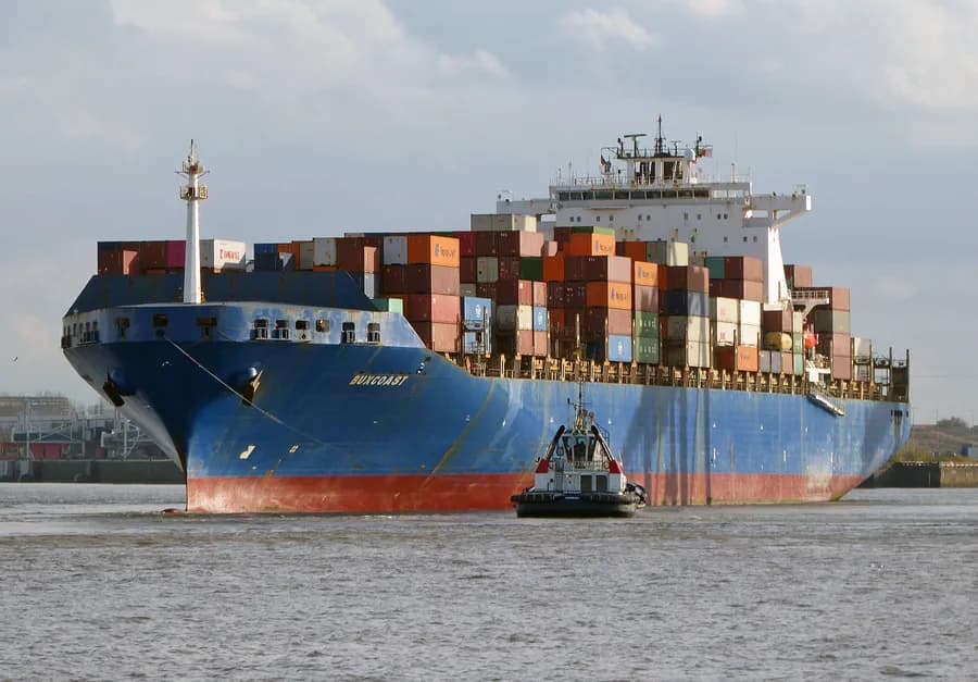 MSC SOPHIE VII