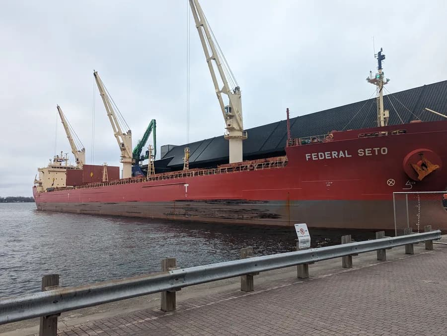 FEDERAL SETO