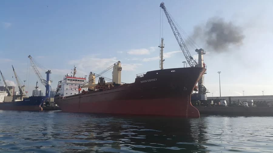 GRONA OSPREY
