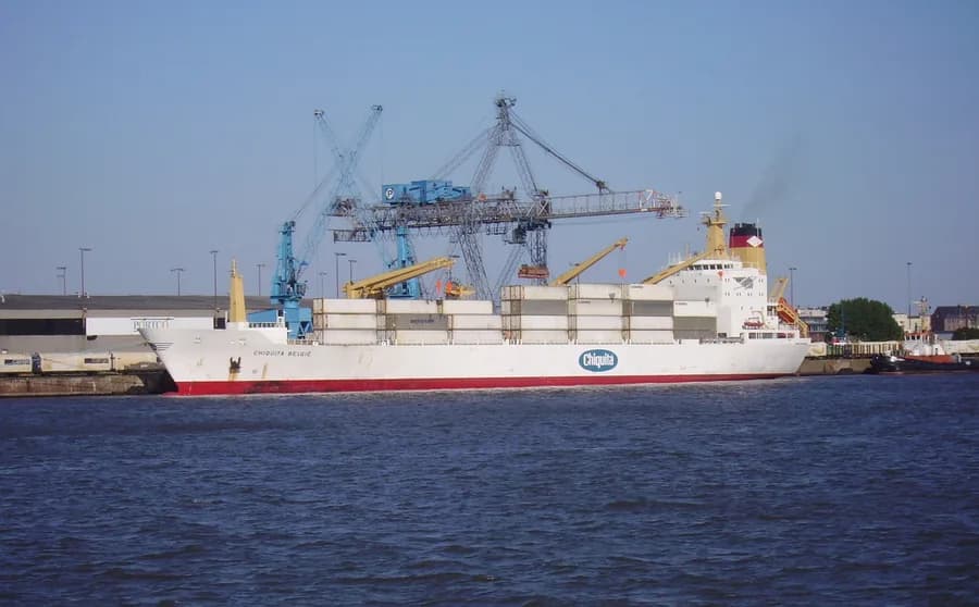 BELUGA REEFER
