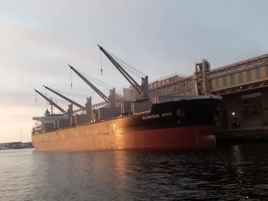 VOSCO SUNLIGHT
