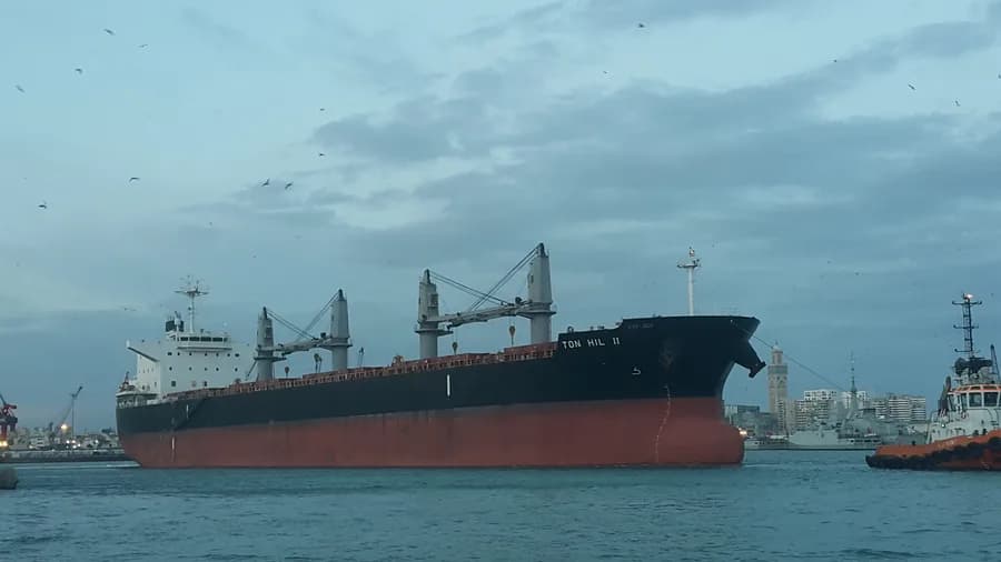 TON HIL II