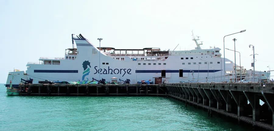 THE BLUE DOLPHIN