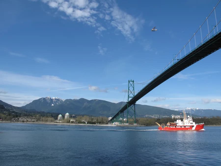 CCGS Vector