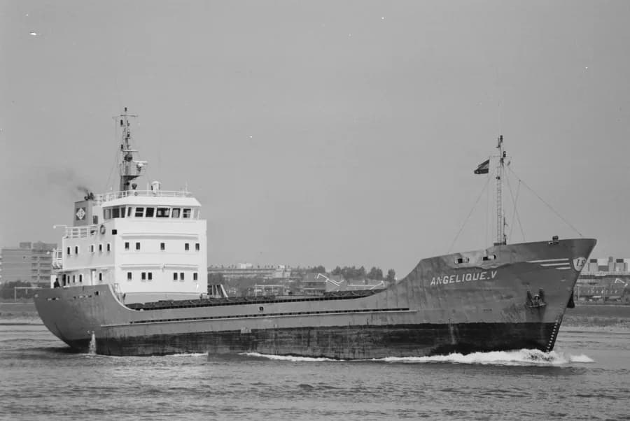 Angelique-V