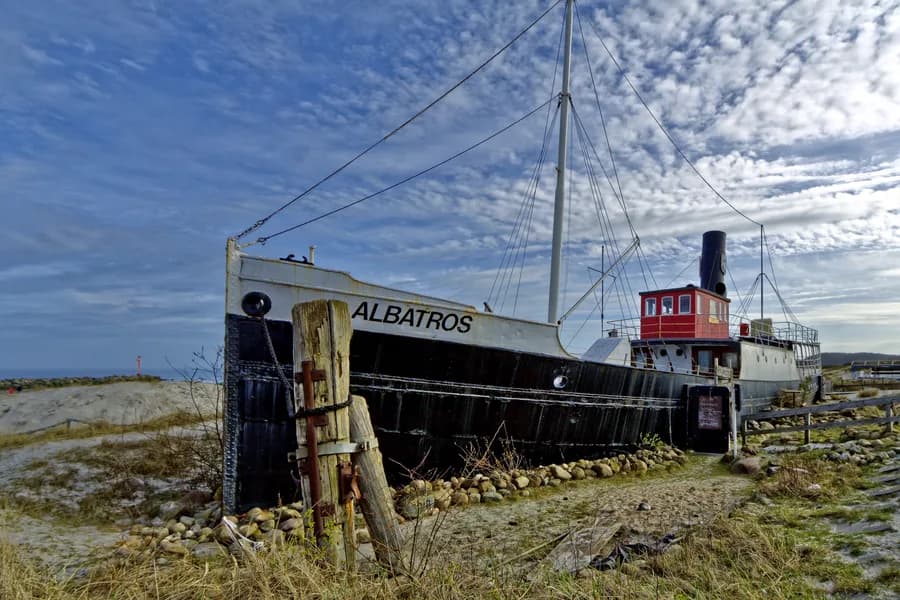 Albatros