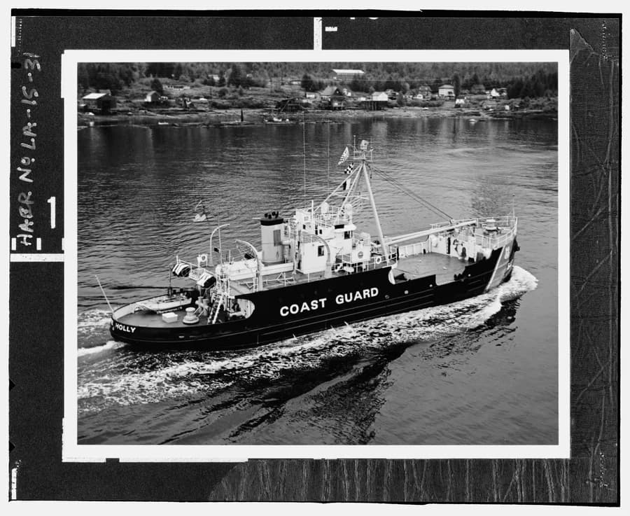 MV White Holly