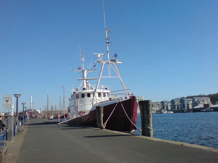 Arctic Janus
